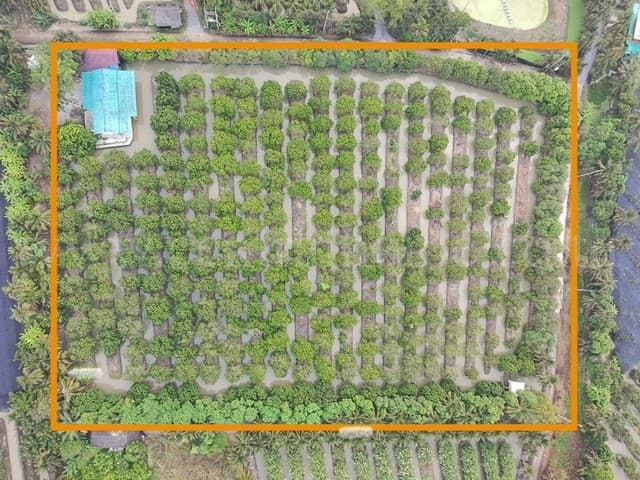 ที่ดิน พร้อมสิ่งปลูกสร้าง 9-3-60 ไร่ สามพราน นครปฐม ทำเลดี
