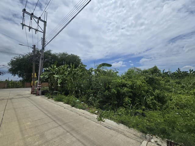 ขายที่ดิน ทวีวัฒนา-กาญจนาภิเษก 20 แปลงมุม ทำเลดี ติดถนนใหญ่ ใกล้มหาวิทยาลัยกรุงเทพธนบุรี