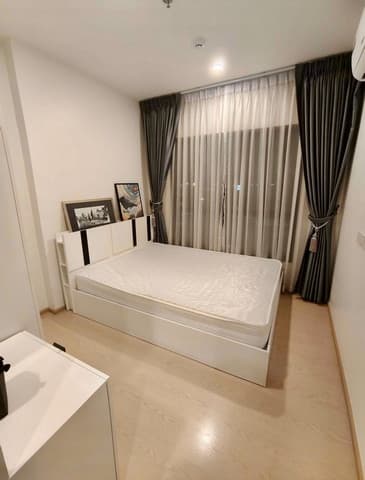 ให้เช่าThe Tree Sukhumvit 71Ekkamai เดอะทรี สุขุมวิท 71-เอกมัย 1ห้องนอนวิวทิศเหนือ ไม่ร้อน