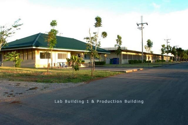 ขายโรงงานพร้อมสวนป่าเบญพรรณอายุ 24 ปี จังหวัดระยอง รวมพื้นที่กว่า 101 ไร่ เหมาะสำหรับนักลงทุนที่มองหาทรัพย์สินพร้อมใช้งาน