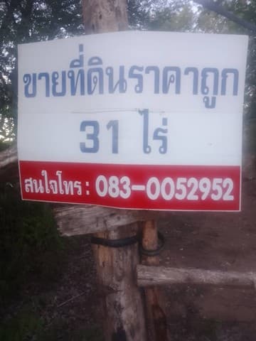 มูลค่าทวีเพิ่มพูนทรัพย์ในดิน ขายที่สวยติดทางหลวง1107 บ้านตาก จ.ตาก คมนาคมสะดวก ไร่ละ 300000 ต.ตากตก อ.บ้านตาก จ.ตาก 0837124115