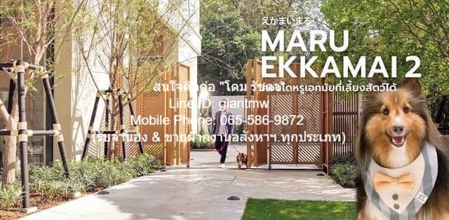 Condo. Maru EKKAMAI 2 มารุ เอกมัย 2 ขนาด 55 ตรม 60000 BAHT ทำเลคุณภาพ เป็นคอนโดหรูระดับ Super Luxury ที่เลี้ยงสัตว์ เดินทางสะดวกสบาย ใกล้แหล่งช้อปปิ้ง สถานที่ท่องเที่ยว และร้านอาหารมากมายในย่านสุขุมวิท, ทองหล่อ & เอกมัย