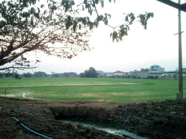 ขายที่ดิน 30-3-59.6 ไร่ อ.สามโคก ต.ท้ายเกาะ จ.ปทุมธานี ติดถนนใหญ่ 3111 ปทุมธานี-สามโคก-เสนา ที่ดินแปลงสวย เหมาะทำการลงทุน