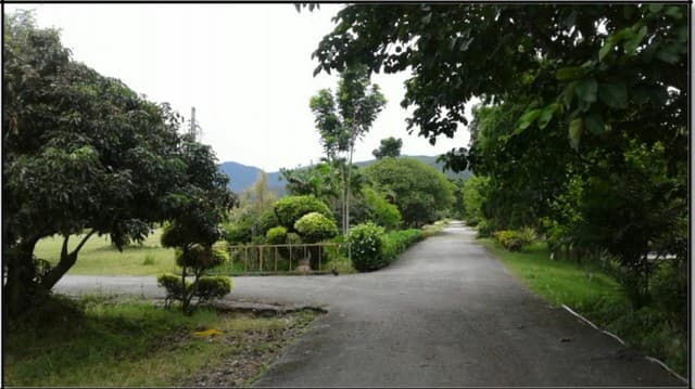 ขายที่ดิน115ไร่ ลดพิเศษ 50ล. ผ่อนได้ ฟรีโอน บ้านยุโรป3หลัง สาธารณูปโภค เหมาะทำรีสอร์ท คาเฟ่ ที่เที่ยว เกษตร ใกล้เทศบาล ต.ทากาศ อ.แม่ทา ลำพูน