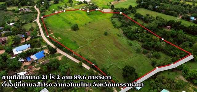 ขายที่ดินเปล่า อ.โนนไทย จ.นครราชสีมา 21 ไร่ 2 งาน 89.6 ตร.ว. ติดถนน น้ำไฟเข้าถึง ใกล้มอเตอร์เวย์ ราคาไร่ละ 350,000 บาท