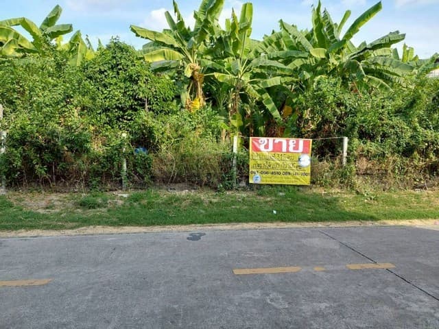 ขายที่ดินถมแล้ว 315 ตร.วา รามอินทรา61 แยก8 หมู่บ้านสวัสดิการทหาร บางเขน ใกล้รถไฟฟ้า ZT841