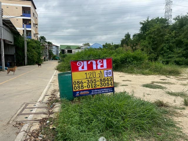 ขายที่ดิน 120 ตารางวา ซอยบางปลา 12/2 บางพลี สมุทรปราการ ZT844