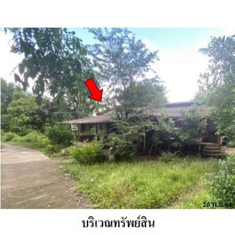 ขายบ้านเดี่ยว ถนน ปัตตานี-โคกโพธิ์ (ทล.42) ตำบล โคกโพธิ์ อำเภอ โคกโพธิ์ จังหวัด ปัตตานี