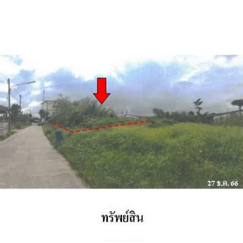 ขายที่ดินว่างเปล่า ถนน ถนนสงขลา-ปัตตานี (ทล.42) ตำบล นาทวี อำเภอ นาทวี จังหวัด สงขลา