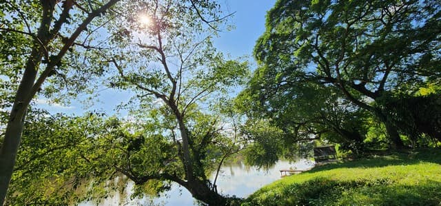ขายที่ดินติดแม่น้ำแควน้อย เมืองกาญจนบุรี หน้าน้ำกว้าง ขนาด 9 ไร่ บรรยากาศวิวดีมาก น้ำใส ลมเย็น เหมาะสร้างบ้านพักตากอากาศ ทำรีสอร์ท