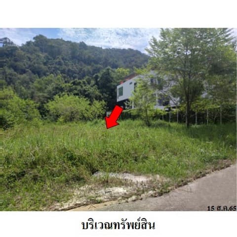 ขายที่ดินว่างเปล่า โครงการ บ้านสวนธนวัฒน์ ถนน กม.19-ท่าจีน ตำบล น้ำน้อย อำเภอ หาดใหญ่ จังหวัด สงขลา
