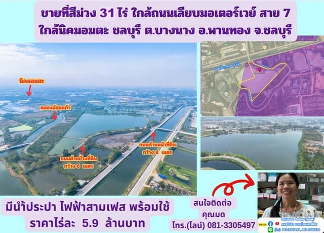 ขายที่สีม่วง 31 ไร่ ใกล้ถนนเลียบมอเตอร์เวย์ สาย 7 ใกล้นิคมอมตะ ชลบุรี ต.บางนาง อ.พานทอง จ.ชลบุรี