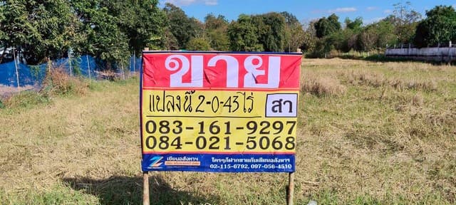 ขายที่ดินราคาถูก ทำเลดี 2-0-43 ไร่ หนองไผ่ ชุมแพ ขอนแก่น ZK592