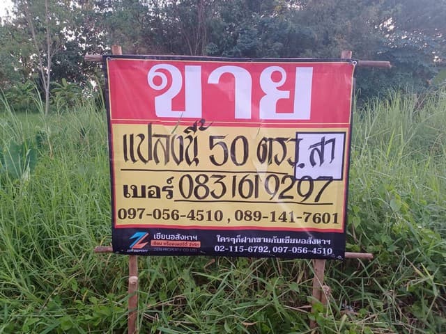 ขายที่ดินเปล่าราคาถูก ทำเลดี 50วา เย็นจิตร ซอย9 บ้านคลอง เมืองพิษณุโลก ZK602