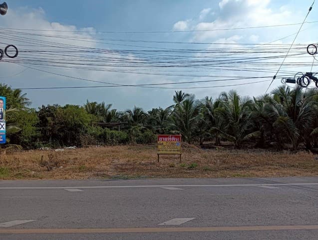 ขายที่ดิน 200 วา ทำเลดี ติดถนน ธรรมชาติ นางตะเคียน เมืองสมุทรสงคราม ZW630