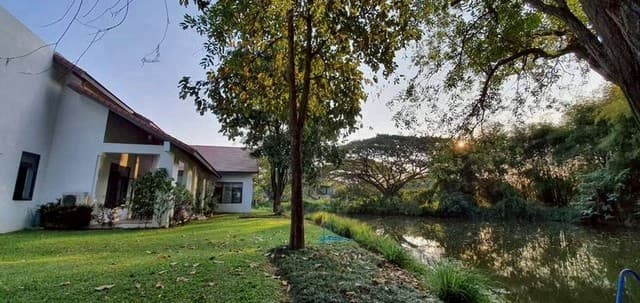 บ้านเดี่ยวหรูให้เช่า หลังใหญ่ พื้นที่กว้างบรรยากาศรีสอร์ แม่ริม