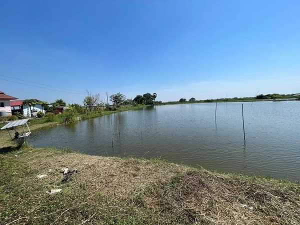 ขายที่ดิน บางปลา (คลอง7) สมุทรปราการ (ต.บางปลา อ.บางพลี สมุทรปราการ) ขนาด 101 ตรว ติดถนน