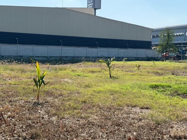 ขายที่ดิน 4 ไร่ 3 ตรว. บางนา กม.25 (พื้นที่สีแดง) ติดถนนบางนา-ตราด ฝั่งขาออก โทร 090-6360022