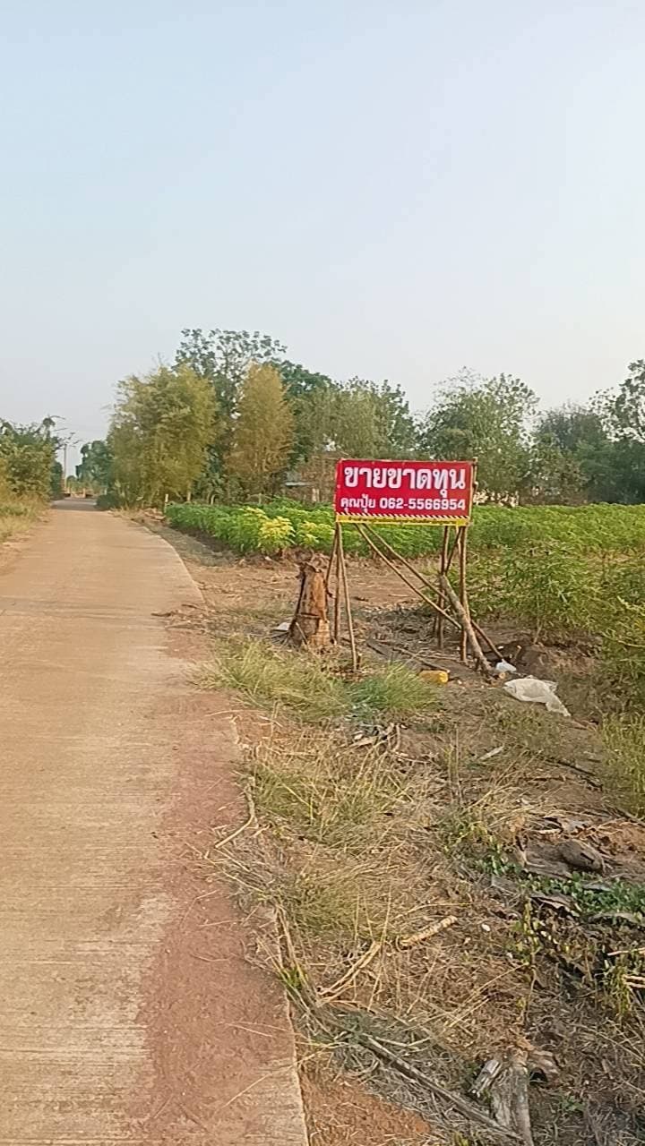 ขายที่ดินวิวภูเขา กาญจนบุรี ทำเลดี เหมาะทำบ้านสวน รีสอร์ท หรือเก็บไว้ลงทุน
