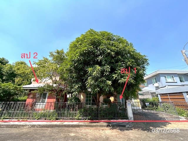 ขายบ้านเดี่ยว บ้านปาริชาต ถนนคุ้มเกล้า ลาดกระบัง กรุงเทพ