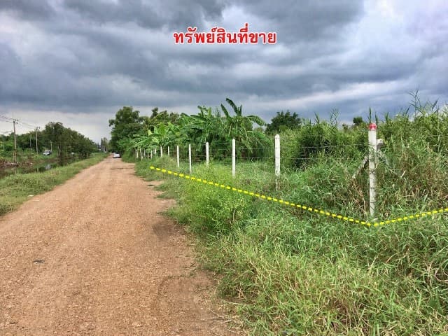 ขายที่ดินเปล่า พื้นที่ 1-1-38 ไร่ คลอง 4 รูปแปลงสวยสี่เหลี่ยมผืนผ้า คลองหลวง ปทุมธานี