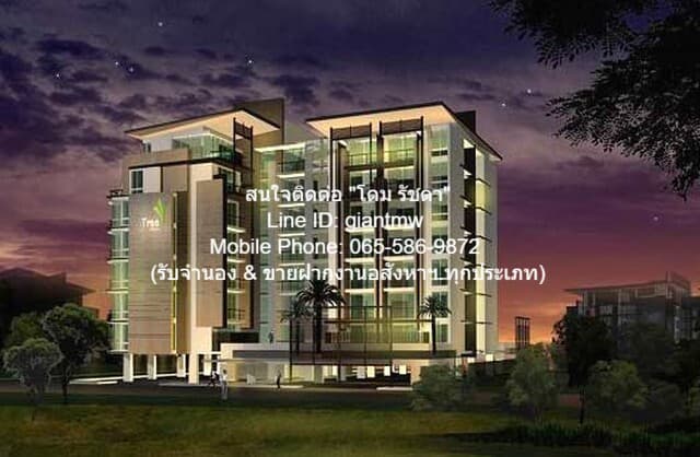 ให้เช่าด่วน คอนโด. Tree Condo Sukhumvit 52 สภาพเยี่ยม