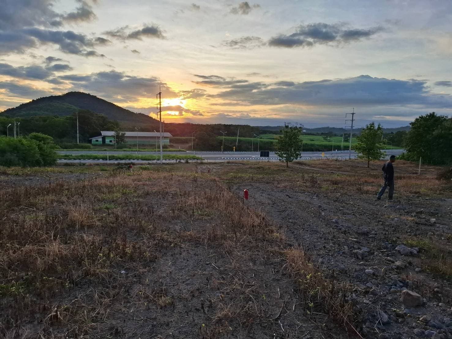 ขายที่ดินทำเลทอง ติดถนนมะลิวัลย์ จังหวัดเลย วิวภูเขาสวย