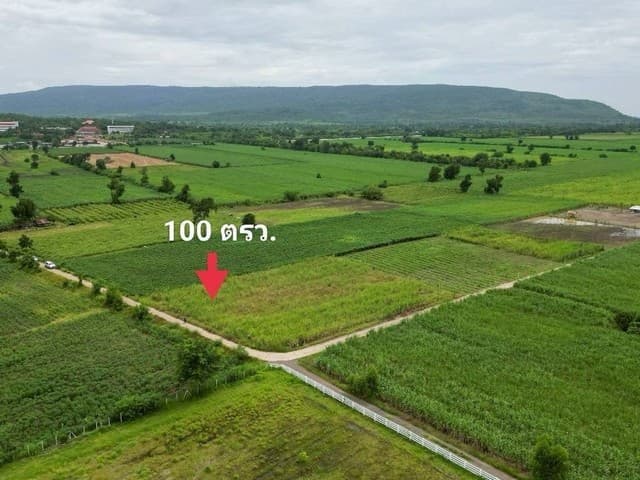 1 ขาย ที่ดิน ถูกสุด ที่วิวเขา ติดถนนคอนกรีต1แสนบาท 100ตรว. วังเพลิน โคกสำโรง ลพบุรี T .086-301-6161 ใกล้กับ วิวเขาสวยมากค่ะ 100 ตร.วา