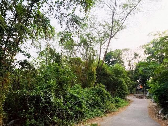 ขายที่ดิน 208 ตร.ว. ที่ติดริมน้ำ ซอยนวมินทร์ 24 (ซอยอุเทน 8) ใกล้สวนนวมินทร์ภิรมย์