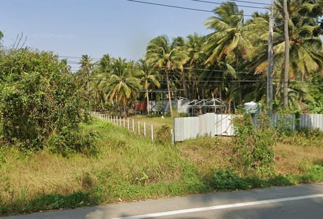 ขายที่ดินสวนมะพร้าว พร้อมบ้านพัก + คอนเทนเนอร์ 40 ฟุต ฟรี! ใกล้ชายหาด บางสะพาน จ.ประจวบคีรีขันธ์