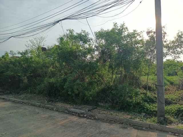 ขาย ที่ดินเปล่า หมู่บ้านกฤษดานคร 27 สามพราน เนื้อที่ 100 ตร.ว. ใกล้มหาวิทยาลัยมหิดล ศาลายา ราคา 2.19 ล้านบาท