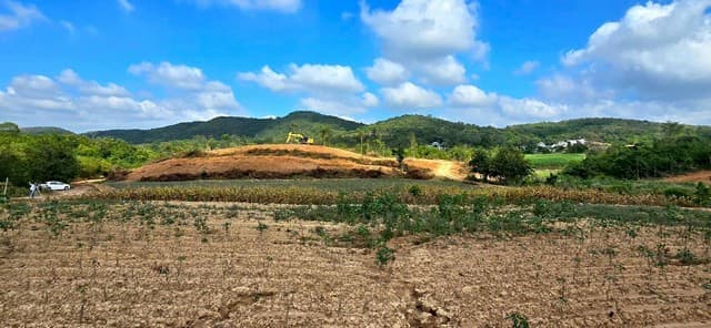 ขาย ที่ดิน - ใกล้กับ ขนงพระ อ.ปากช่อง รพ.ปากช่อง 200 ตารางวา