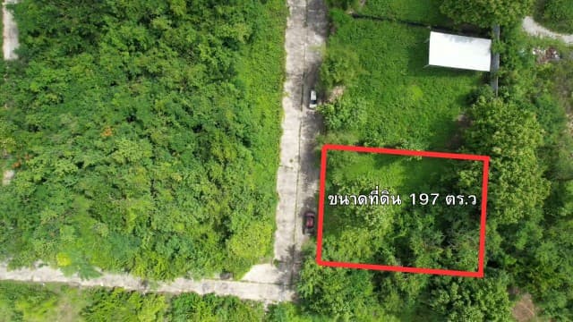 ขายที่ดิน 197 ตร.ว. เพียง 1.576 ล้านบาท | ราคา 8,000 บาท/ตร.ว. | เหมาะสร้างบ้านและลงทุน