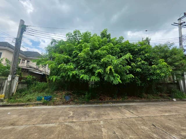 sss552 ขาย ที่ดินเปล่า หมู่บ้าน กฤษดากร 18 ถนนพุทธมณฑลสาย 3
