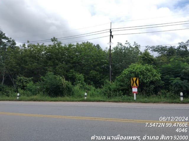 ขายที่ดินว่างเปล่า ซ.ถนนสายห้วยน้ำดำ-หนองไม้ไผ่ ถ.สายตรัง-สิเกา จ.ตรัง