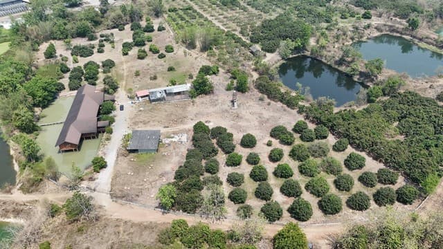 ขายที่ดินพร้อมบ้านและสวนลำไย 14 ไร่ ทำเลดีมาก อ.เมือง จ.ลำพุน