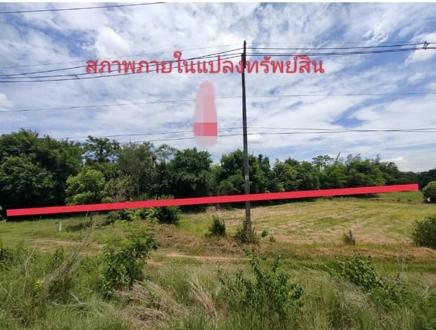 ขายบ้านเดี่ยว The City Ratchaphruek Suanphak เดอะ ซิตี้ ราชพฤกษ์ สวนผัก หลังมุม 2