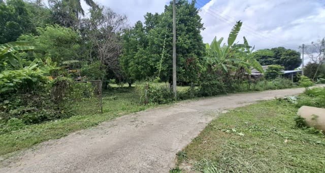 2388 ขาย ที่ดิน ที่ดินสันทราย 3500000 บาท 1 ไร่ 414 ตร.วา เชียงราย ชั้นที่ 1