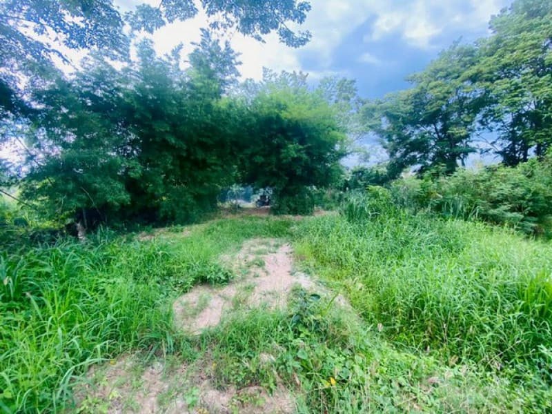 ที่ดินบ้านบึง ชลบุรี 5 ไร่ ทำเลสวย ล้อมรั้ว บ้านมาบกรูด เหมาะลงทุน TP-L2366