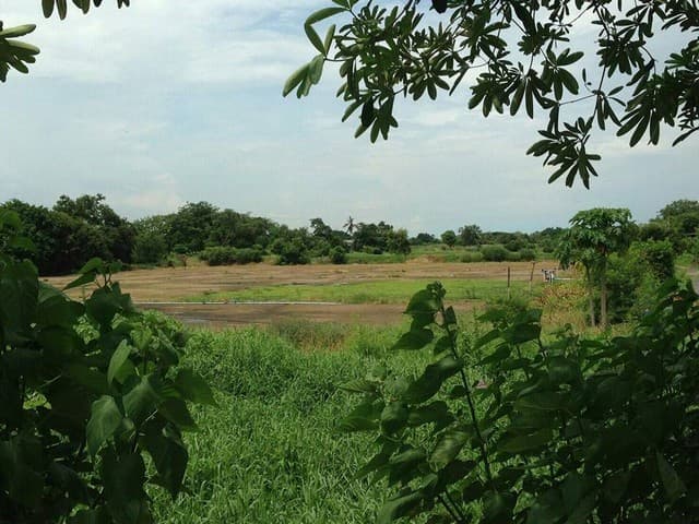 ขายที่ดิน ใกล้ร่มเกล้า 7 ติดถนนร่มเกล้า ขนาดพื้นที่ 56 ไร่กว่า ติดถนนใหญ่