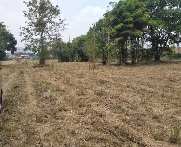 svs356 ขายที่ดิน มวกเหล็ก สระบุรี ใกล้พาราไดซ์รีสอร์ท