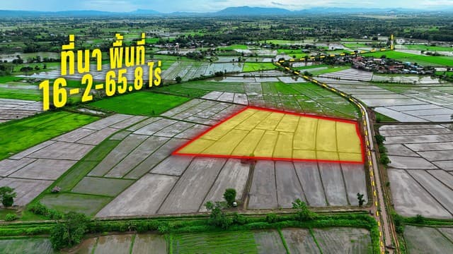 ขายที่นาแปลงใหญ่ 16 ไร่ ติดคลองชลประทาน อ.เมืองเชียงราย ใกล้สนามบิน