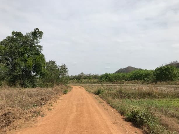 DSL-031 ขาย ที่ดิน ที่ดิน บ้านนาค้อ ปากชม จ.เลย 7 ไร่ 3 งาน 3143 ตร.วา เลย ปากชม