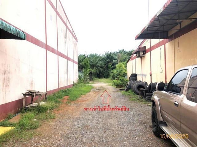 ขายที่ดินสุราษฎร์ธานี ถนนสายสุราษฎร์ธานี - หลังสวน อำเภอท่าชนะ
