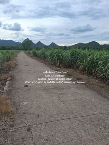 DSL-1351 ขาย ที่ดิน ขายที่ดินไร่อ้อย (น.ส.3 ก.) 19-2-21 ไร่ ต.ห้วยยาง อ.คอนสาร จ.ชัยภูมิ ราคา 9.78 ล้านบาท ชัยภูมิ ใกล้กับ โรงเรียนคอนสารวิทยาคม 9780000 บาท 19 ไร่ 2 งาน 7821 ตร