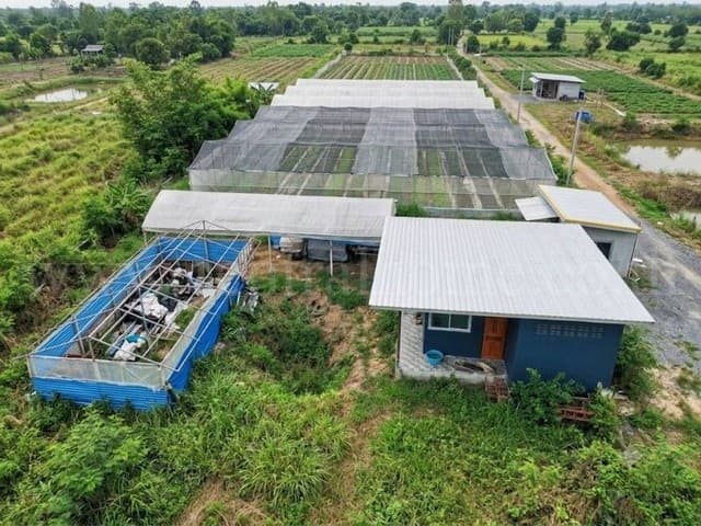 ที่ดินพร้อมสิ่งปลูกสร้าง 4-0-69.6 ไร่ ไทรน้อย ทำเลดี