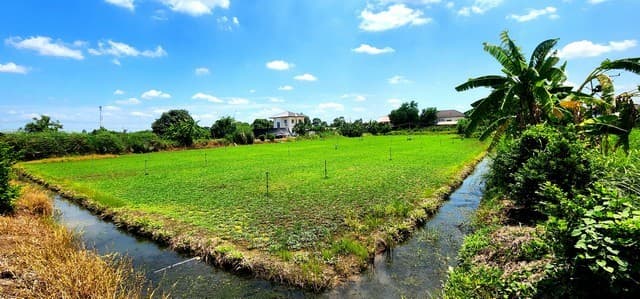 ขายที่ดินคลอง 12 หนองเสือ 1 ไร่ ติดถนน 2 ด้าน เหมาะปลูกบ้านสวน ทำเกษตรพอเพียงได้ ทำโกดัง อยู่ใกล้แหล่งชุมชน