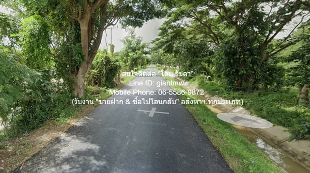 ขายที่ดินทุ่งนา (ผังสีเขียว) 2-1-31 ไร่ อ.บ้านลาด จ.เพชรบุรี ราคา 5.82 ล้านบาท
