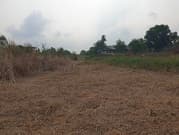 ขายที่ดิน คลองสาม, คลองหลวง ปทุมธานี พื้นที่ 25 ไร่ 2