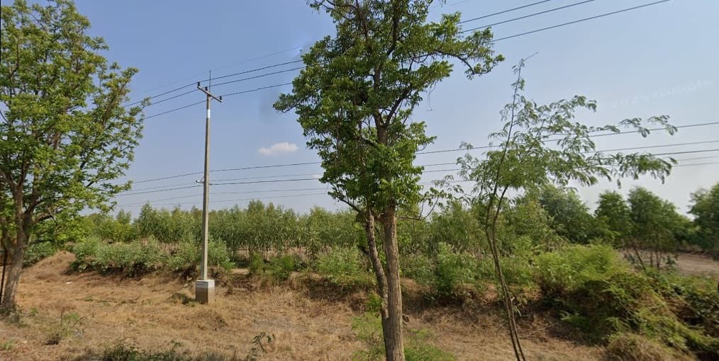 ขายที่ดิน ติดถนน 3264 ตำบลดอนเจดีย์ อำเภอดอนเจดีย์ จังหวัดสุพรรณบุรี เนื้อที่ 15 -3-59 ไร่ 5